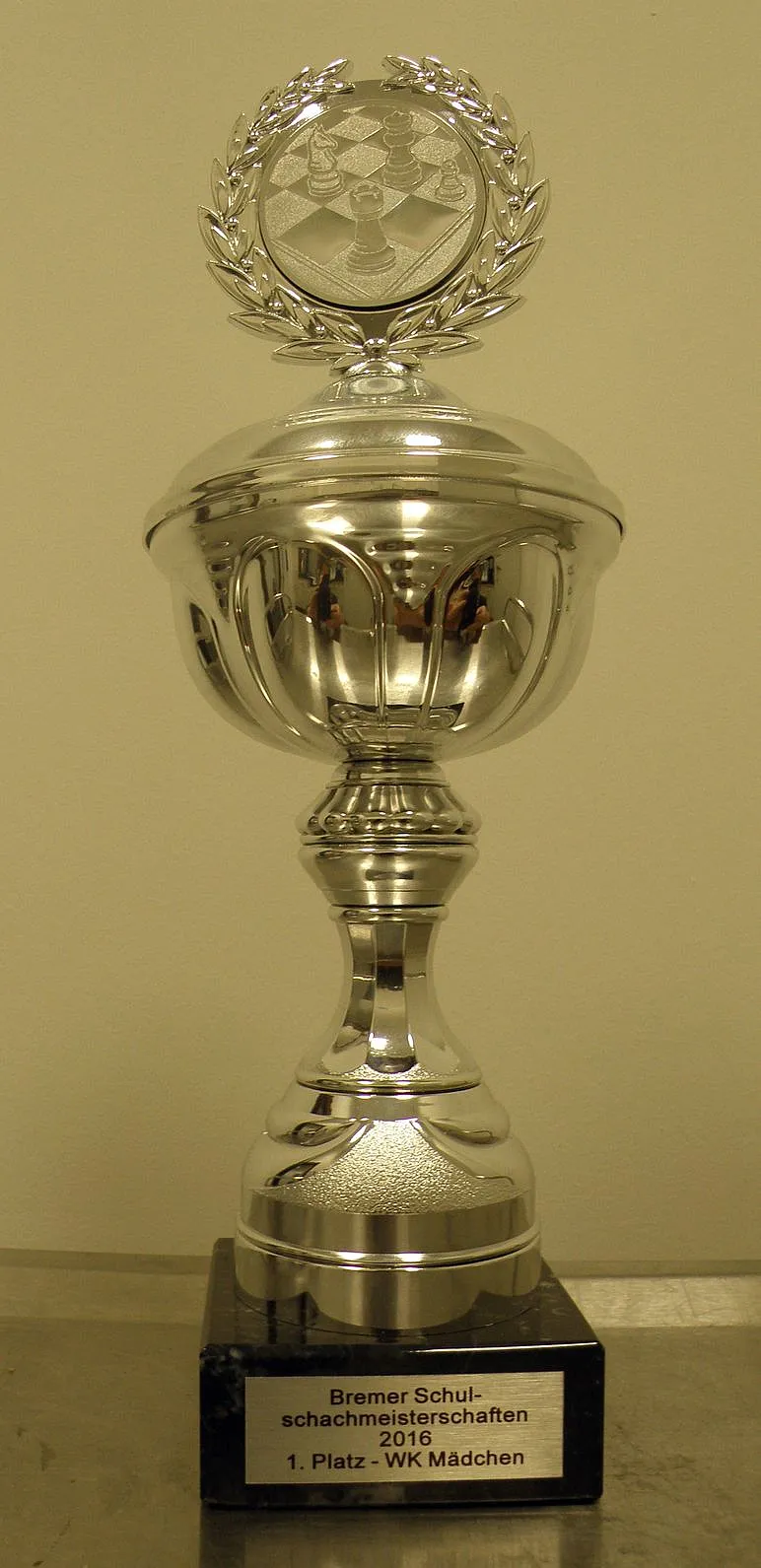 Schachmeisterschaft 2016 (Pokal)